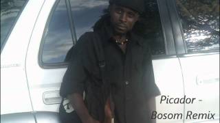 Picador  Bosom Remix Liberian Music [upl. by Eilagam471]