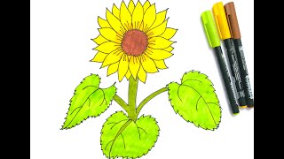 Sonnenblume einfach zeichnen Schritt für Schritt Anleitung nachmalen für Kinder und Malanfänger [upl. by Nila]