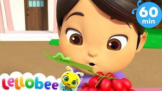 Caterpillar Butterfly Song  Lellobee City Farm  Cartoons amp Kids Songs  Fun with Lellobee [upl. by Bronny]