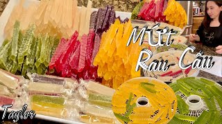 Mứt Rau Câu  Cách Làm Kẹo Mứt Rau Câu Rất Giòn Dẻo Món Ngon Cho Ngày Tết  Agar Agar Jelly Candy [upl. by Stronski]