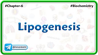 Lipogenesis  Lipid Metabolism [upl. by Walcoff]