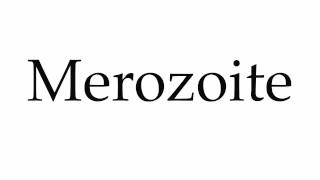 How to Pronounce Merozoite [upl. by Thamora]