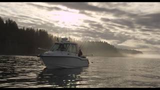 Boston Whaler  Exploring the Pacific Northwest [upl. by Karla108]