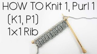 HOW TO KNIT AND PURL  1x1 Rib [upl. by Flanders531]