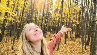 Soulful Autumn Walk Reflections on Identity amp Healing [upl. by Vedis298]