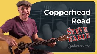 Copperhead Road by Steve Earle  Guitar Lesson [upl. by Hillard328]