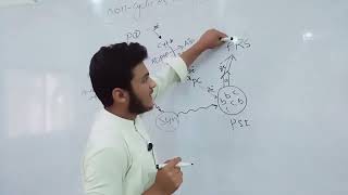 what is light reaction cyclic and non cyclic electron transport educationist [upl. by Hilten]