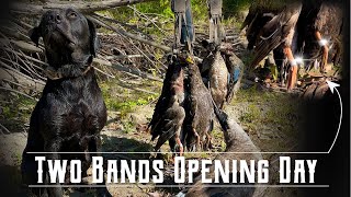 Two Bands amp 14 Birds on Opening Day  Duck Hunt 2024 [upl. by Eidnak]