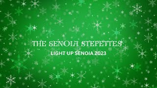 The Senoia Stepettes  Light Up Senoia 2023 [upl. by Bigler]