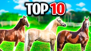 TOP 10 Cavalos MANGALARGA MARCHADOR [upl. by Valma953]