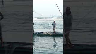 Traditional Fishing on River Mouth of Ramachandi Konark fishing [upl. by Hillman]