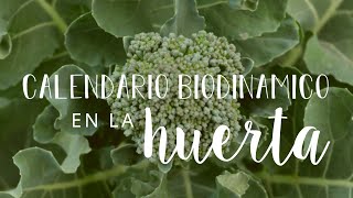 CALENDARIO BIODINÁMICO en la HUERTA  Breve GUÍA sobre cómo utilizarlo para nuestros CULTIVOS 🌙🌱 [upl. by Bonine]