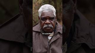 Indigenous Australians Aboriginal [upl. by Adnauq]