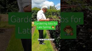 Gardening jobs to do in late spring pruning seedsowing [upl. by Ofori449]