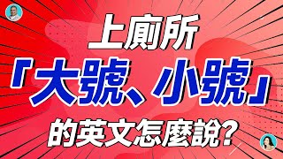 上廁所「大號、小號」的英文怎麼說？大集合啦 [upl. by Adin443]