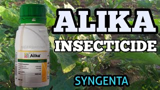 ALIKA INSECTICIDE  SYNGENTA  Thiamethoxam 126 Lambda Cyhalothrin 95 Zc [upl. by Audrey]