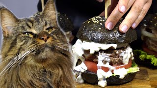 Cooking Black Blue Cheese Burger My Cat  Cooking With Nyx [upl. by Ellehsad849]