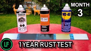 1 Year RUST Test  3 Month Update  Tremclad Rust Reformer  Cosmoline RP342  WD40 [upl. by Auoy560]