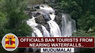 Mudumalai Tiger Reserve  Officials ban Tourists from nearing waterfalls due to Crocodile Movement [upl. by Yssim]