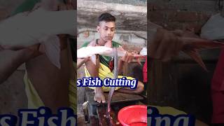 Incredible Giant Pangas Fish Cutting Techniques  Fish Cutting Skills [upl. by Godart]