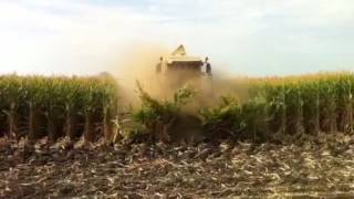 Silva Bros Custom Chopping in corn [upl. by Silyhp]