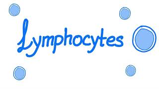 Lymphocytes  Your Specialized Immunity  White Blood Cells [upl. by Laurice151]