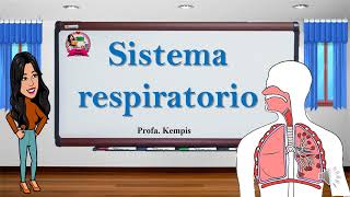 Sistema respiratorio [upl. by Dielle]