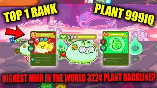 TOP 1 RANK GLOBAL 3224 MMR USING PLANT BACKLINE 🍈🍎🍍 999IQ GENIUS BUILD THE BEST META  AXIE INFINITY [upl. by Lunnete]