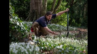 Snowdrops at Goldsborough Hall Head gardener Mark Waller at Goldsborough Hall near Knaresborough [upl. by Eirovi]