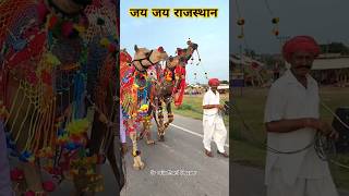 राजस्थान की धरोहर।राजस्थान की आन बान और शान। camel animals shorts viral youtubeshorts ytshorts [upl. by Nauqit83]