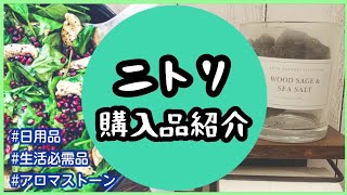 【ニトリ購入品】気になるアロマディフューザーから100均より安い商品まで幅広く商品紹介☺ [upl. by Ydal]