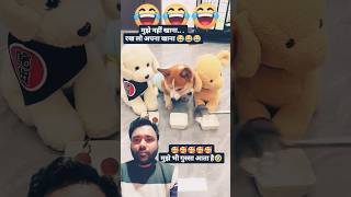 Mujhe bhi gussa Aata Hai  cute dog  shorts dog doglover dogs dogsworld youtube [upl. by Otina]