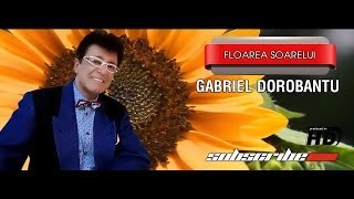 Gabriel Dorbantu Floarea Soarelui [upl. by Ilhsa]