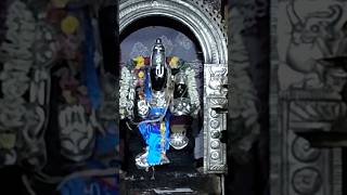 Shree Lakshmi Narayana Perumal purattasi tirupathi perumal தரிசனம் shortsfeed [upl. by Colene]