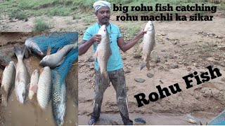 Rohu fish amp mrigal fish catching rohu machli ka sikar in odisha india 2023 [upl. by Edieh]