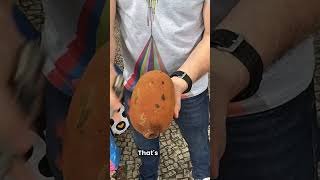 Opening a Cupuaçu Amazon SUPERFRUIT with a Hammer in Rio de Janeiro shorts [upl. by Sherwynd]