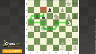 Chess Tactics Knight Fork Signals [upl. by Winton]