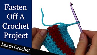 How to Finish a Crochet Project  Beginner Course Lesson 75 [upl. by Macomber82]