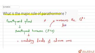 What is the major role of parathormone [upl. by Airym]