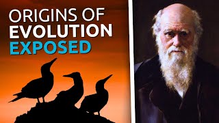 This Video DISMANTLES Darwinian Evolution [upl. by Idoux]