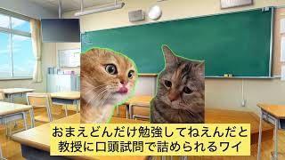 限界医学部生の試験までの様子【猫ミーム】 [upl. by Znerol]