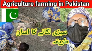 Ek Din Kheti Bari K Liye Aj Main Kisan Ban Gi ll Saiqa Village ll [upl. by Moreland319]