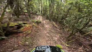 Old Mate Cobber into Topgun  Maydena Bike Park [upl. by Rastus]