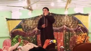 Ali ka dulara he pyara hussain Hafiz abdulbasit hassani 2016 [upl. by Drescher]