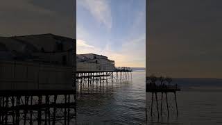 Starling murmuration at Royal Pier Aberystwyth [upl. by Akered]