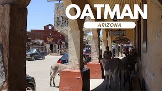 The Wild West Town Where Donkeys Roam the Streets [upl. by Annoik806]