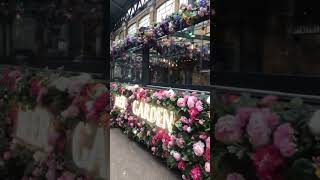 For those who love roses shortsvideosrosflaorlondon [upl. by Enisaj]