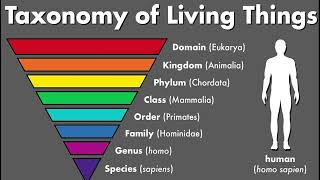 Human Biocultural amp Social Evolution Unlocking of terms [upl. by Akiram]