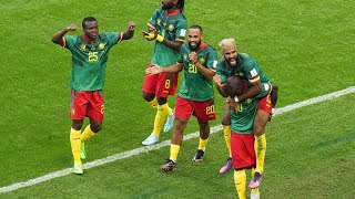 Mondial 2022  les Lions toujours dedans [upl. by Brendon]