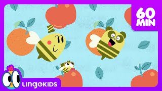 THE BEST OF BABY BOT 🚀 🤖 Educational Cartoons Compilation  Lingokids [upl. by Burnard]